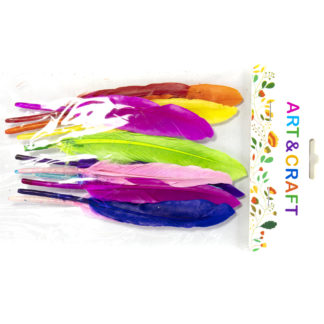 PLUMA DE COLOR SUTIDO X10 小直刀(羽毛) - Art.982731